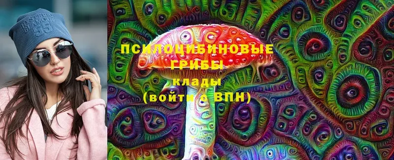 Галлюциногенные грибы мицелий  Краснообск 